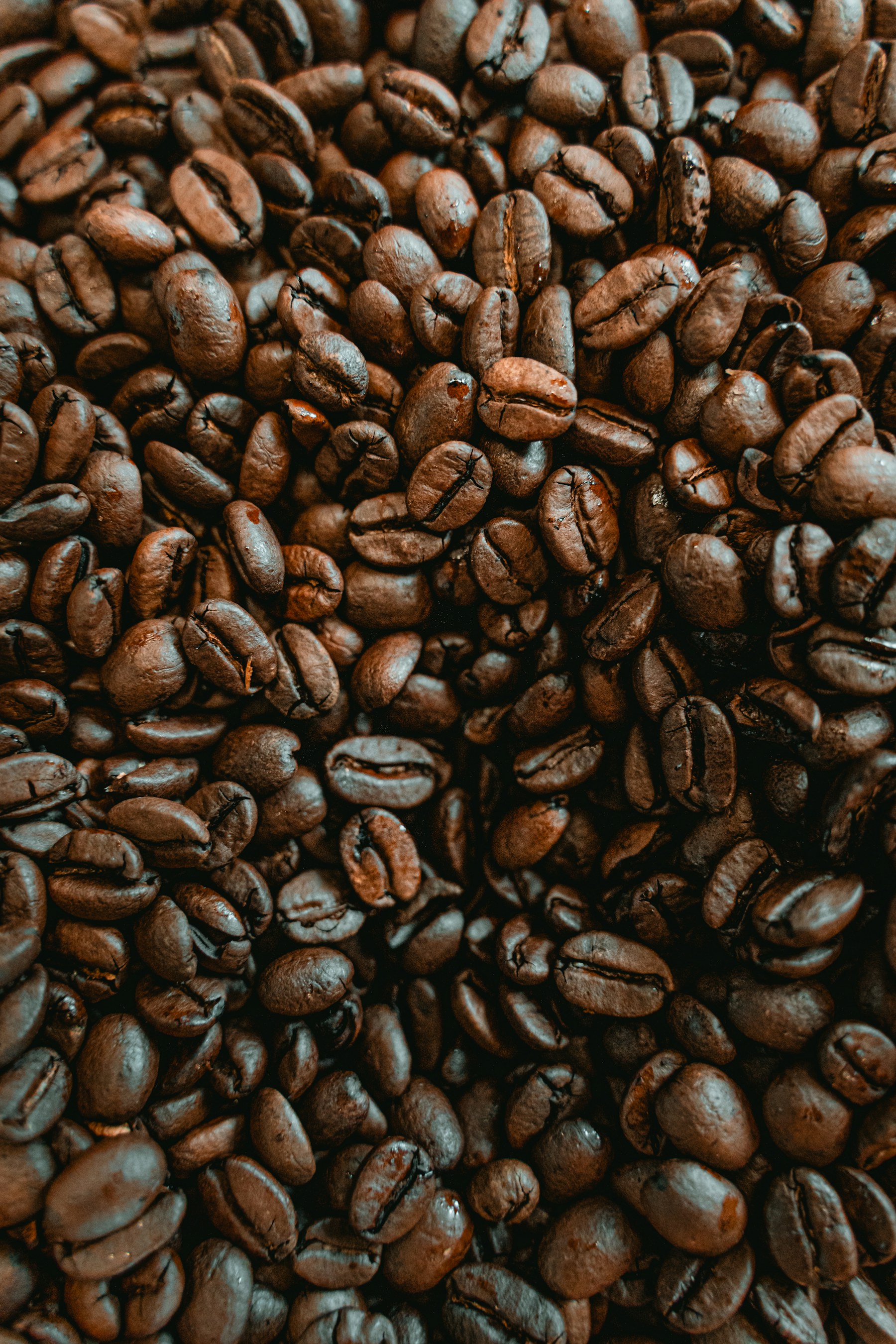 A close-up field of freshly roasted coffee beans